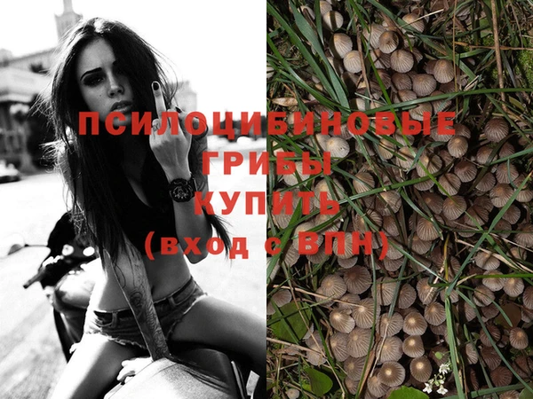 мефедрон мука Гусь-Хрустальный