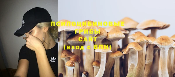 эйфоретик Гусев