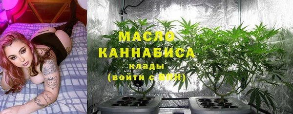 эйфоретик Гусев