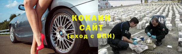 эйфоретик Гусев